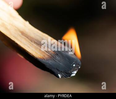 Cérémonie de purification par l'utilisation de bois saint péruvien palo santo bâton d'encens à préserver la forêt. Banque D'Images