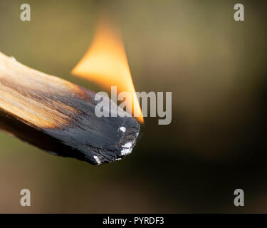 Cérémonie de purification par l'utilisation de bois saint péruvien palo santo bâton d'encens à préserver la forêt. Banque D'Images