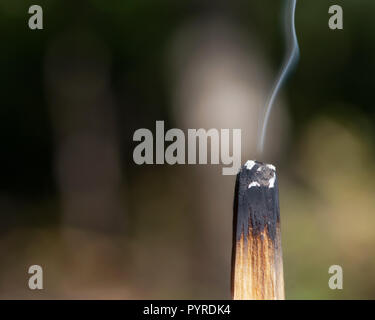 Cérémonie de purification par l'utilisation de bois saint péruvien palo santo bâton d'encens à préserver la forêt. Banque D'Images