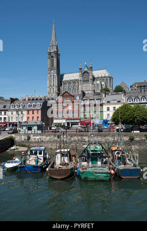 La ville de Cobh et front de mer, dans le comté de Cork, Irlande. La Cathédrale Saint-colman est donnant sur la ville et le port. Banque D'Images