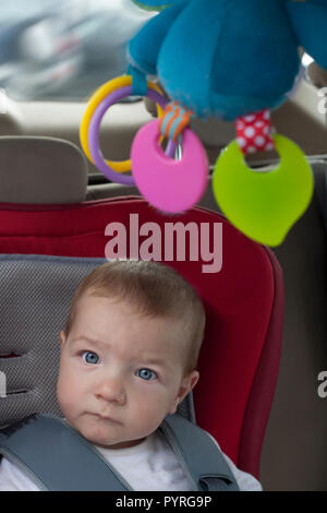 Bébé garçon assis dans un siège d'auto pour enfant avec hochet accroché au plafond. Il est à regarder avec appui-tête sur tablette toons Banque D'Images