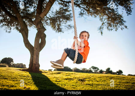 Happy Young boy playing on a tree swing. Banque D'Images