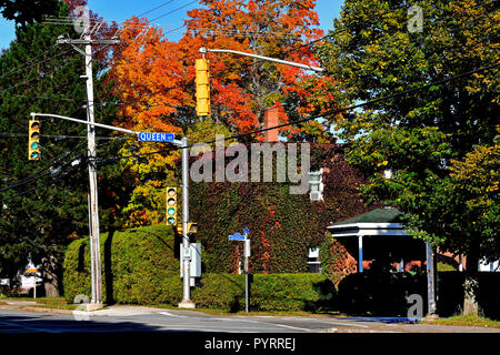 Une image paysage d'automne d'une maison à l'angle des rues Queen et principal à Sussex au Nouveau-Brunswick qui est couverte de la culture de la vigne Banque D'Images