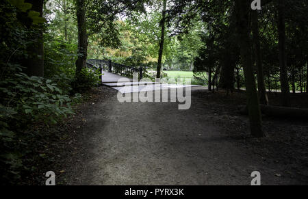 Park à Amsterdam, détail du lac dans la ville Banque D'Images