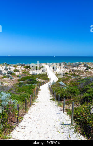 L'accès à la plage des chemins à travers les dunes à Scarborough Beach à Perth, Australie occidentale Banque D'Images