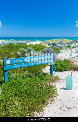 De nouvelles plantes indigènes avec des protecteurs des semis plantés dans une dune de sable de conservation à Trigg Beach, Perth, Australie occidentale Banque D'Images