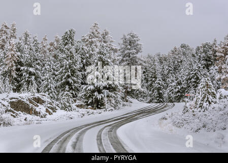 Vue panoramique de l'automne avec la première neige sur une route mouillée de saleté dans les montagnes, arbres et forêt, dans la neige et le givre sur l'arrière-plan d'un overcas Banque D'Images