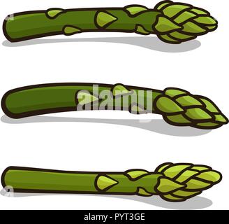 Vector illustration d'Asparagus isolated on white Illustration de Vecteur