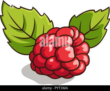 Illustration Vecteur de produits frais, de framboise mûre avec des feuilles vertes isolated on white Illustration de Vecteur