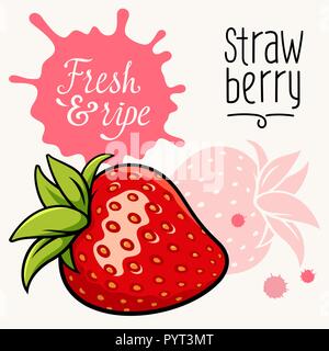 Vector illustration de fraises juteuses mûres. Concept pour le marché des fermiers. Idée pour le design de l'étiquette. Produits locaux, bio Illustration de Vecteur