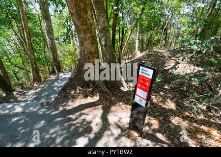 La flèche rouge populaires sentier pédestre traversant la forêt tropicale, Mt Whitfield Conservation Park, Cairns, Far North Queensland, Queensland, Australie, FNQ Banque D'Images