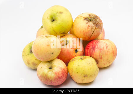 Pommes à cuire d'aubaine qui avait été placée dans une brouette à l'extérieur de la ferme pour être donnés gratuitement aux passants. Idéal pour faire de la compote de pommes. Phot Banque D'Images