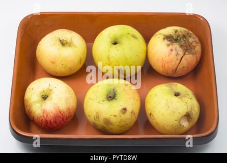 Pommes à cuire d'aubaine qui avait été placée dans une brouette à l'extérieur de la ferme pour être donnés gratuitement aux passants. Idéal pour faire de la compote de pommes. Phot Banque D'Images