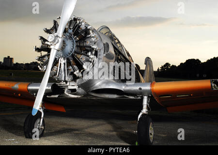 North American T-6 Texan était un avion à aile basse produite par la société américaine North American Aviation utilisés pendant la SECONDE GUERRE MONDIALE II Banque D'Images