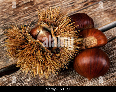 Châtaignes et marrons bur sur table en bois. Banque D'Images