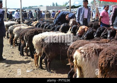 L'élevage marché dimanche bazar de Kashgar, Kashi, Xinjiang, Chine, région autonome ouïghoure Banque D'Images