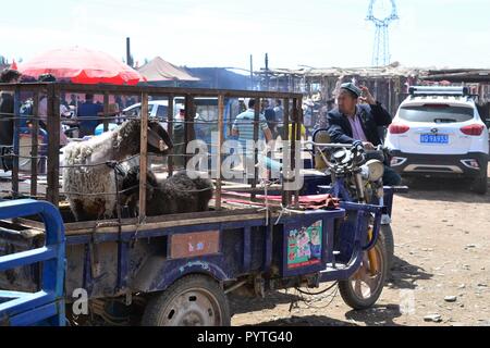 L'élevage marché dimanche bazar de Kashgar, Kashi, Xinjiang, Chine, région autonome ouïghoure Banque D'Images