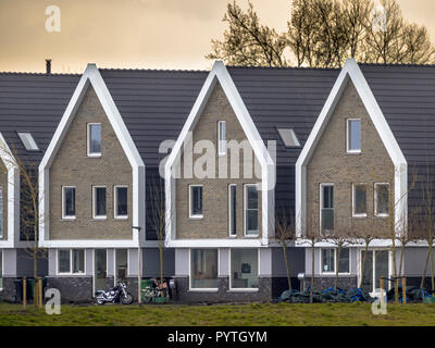 Rangée de maisons modernes de identiques dans les Pays-Bas au coucher du soleil Banque D'Images