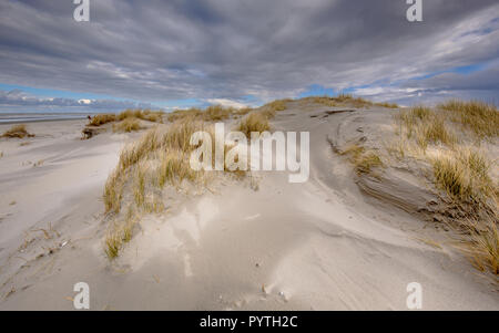 Les jeunes dunes côtières sur l'île inhabitée Rottumerplaat dans la mer de Wadden, Pays-Bas Banque D'Images