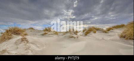 Paysage de dunes côtières les jeunes sur l'île de Rottumerplaat dans la mer de Wadden, Pays-Bas Banque D'Images