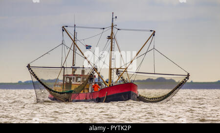 La pêche de la crevette dans le navire de la faucheuse de la mer des Wadden néerlandaise Banque D'Images