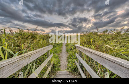 Pont de bois sur un sentier de randonnée en terrain marécageux au coucher du soleil dans les Pays-Bas Banque D'Images
