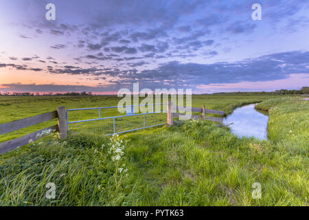 Purple coucher de soleil sur une clôture en terre agricole près de Groningen Banque D'Images