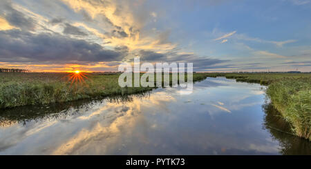 Coucher du soleil sur la rivière dans la réserve naturelle des marais au coucher du soleil dans les Pays-Bas Banque D'Images