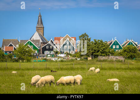 View of Traditional Dutch Village avec maisons et église en bois coloré avec des moutons sur l'avant-plan sur l'île de Marken dans l'Ijsselmeer ou pour Banque D'Images