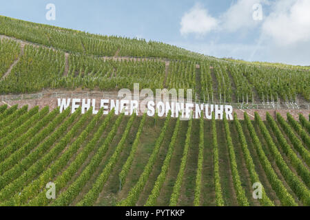 Wehlener Sonnenuhr riesling vignoble dans la vallée de la Moselle, l'Allemagne, de l'Europe Banque D'Images