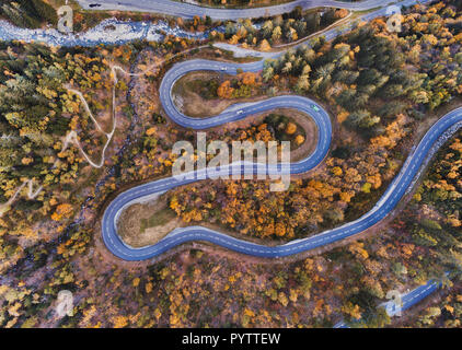 Voyager par route sinueuse dans la forêt d'automne, paysage aérien d'automne la nature. Banque D'Images