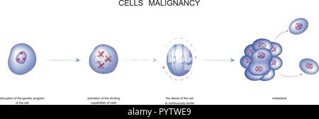 Vector illustration d'un processus de cellules de tumeur maligne Illustration de Vecteur