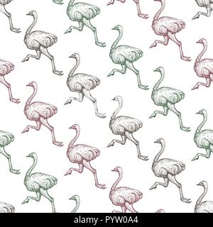 Gradient d'autruche ferme modèle homogène. L'exécution de l'UEM l'arrière-plan dessiné à la main d'oiseaux. À plumes d'autruche africaine texture réaliste. Dessin d'animaux sauvages. Wall Illustration de Vecteur