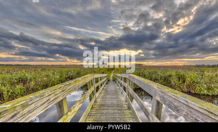 Pont en bois sur une piste de marche à travers la réserve naturelle des marais au coucher du soleil dans les Pays-Bas Banque D'Images