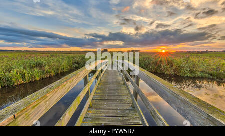Pont de bois sur la piste cyclable en terrain marécageux au coucher du soleil dans les Pays-Bas Banque D'Images
