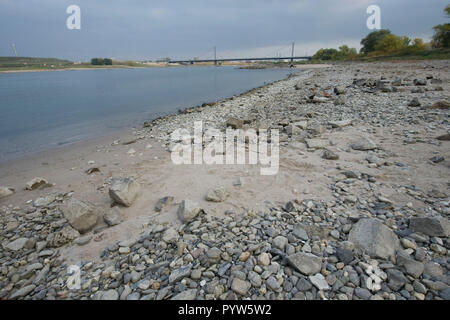 Leverkusen, Allemagne. 30Th Oct, 2018. Le Rhin à marée basse, dans l'arrière-plan le pont et le Bayer Leverkusen, l'usine Centres Chempark, au premier plan une banque de gravier, l'eau basse dans le Rhin, le faible niveau d'eau permet aux bateaux de marchandises d'un seul disque avec moins de marchandises, utilisée dans le monde entier : dpa Crédit/Alamy Live News Banque D'Images