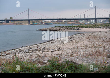 Leverkusen, Allemagne. 30Th Oct, 2018. Les navires de charge sur le Rhin, dans l'arrière-plan le pont et le Bayer Leverkusen, l'usine Centres Chempark, au premier plan une banque de gravier, l'eau basse dans le Rhin, le faible niveau d'eau permet aux bateaux de marchandises d'un seul disque avec moins de marchandises, l'utilisation de crédit dans le monde entier | : dpa/Alamy Live News Banque D'Images