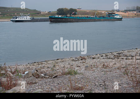 Leverkusen, Allemagne. 30Th Oct, 2018. Les navires de charge sur le Rhin, dans l'avant-plan une banque de gravier, l'eau basse dans le Rhin, le faible niveau d'eau permet aux bateaux de marchandises d'un seul disque avec moins de marchandises, l'utilisation de crédit dans le monde entier | : dpa/Alamy Live News Banque D'Images