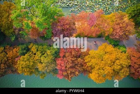 Nanjing. 30Th Oct, 2018. Photo aérienne prise le 30 octobre 2018, présente le décor de l'automne de Xuanwu Lake scenic spot à Nanjing, capitale de la province de Jiangsu, Chine orientale. Credit : Su Yang/Xinhua/Alamy Live News Banque D'Images