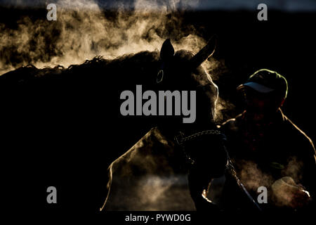 Louisville, Kentucky, USA. 29 Oct, 2018. 29 octobre 2018 : Scènes de Breeders Cup semaine à Churchill Downs le 29 octobre 2018 à Louisville, Kentucky. Evers/ESW/CSM/Alamy Live News Banque D'Images