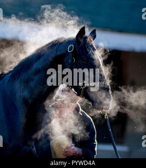 Louisville, Kentucky, USA. 29 Oct, 2034. 29 octobre 2018 : un cheval obtient un bain après l'exercice à Churchill Downs le 29 octobre 2018 à Louisville, Kentucky. Scott Serio/Eclipse Sportswire/CSM/Alamy Live News Banque D'Images