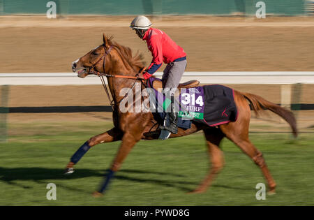 Louisville, Kentucky, USA. 29 Oct, 2018. 29 octobre 2018 : Waldgeist (GB), formé par André Fabre, exercices en préparation de la Breeders' Cup Turf à Churchill Downs le 29 octobre 2018 à Louisville, Kentucky. Evers/ESW/CSM/Alamy Live News Banque D'Images