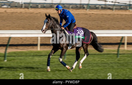 Louisville, Kentucky, USA. 29 Oct, 2018. 29 octobre 2018 : (GO), talismanique formé par André Fabre, exercices en préparation de la Breeders' Cup Turf à Churchill Downs le 29 octobre 2018 à Louisville, Kentucky. Evers/ESW/CSM/Alamy Live News Banque D'Images