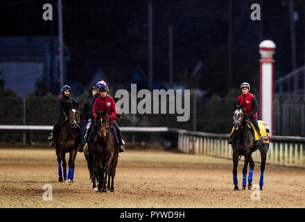 Louisville, Kentucky, USA. 29 Oct, 2018. 29 octobre 2018 : lion rugissant et permettre à Churchill Downs le 29 octobre 2018 à Louisville, Kentucky. Evers/ESW/CSM/Alamy Live News Banque D'Images