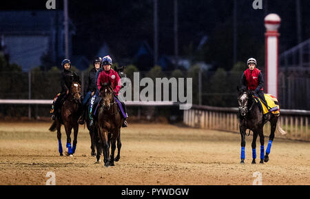 Louisville, Kentucky, USA. 29 Oct, 2018. 29 octobre 2018 : lion rugissant et permettre à Churchill Downs le 29 octobre 2018 à Louisville, Kentucky. Evers/ESW/CSM/Alamy Live News Banque D'Images