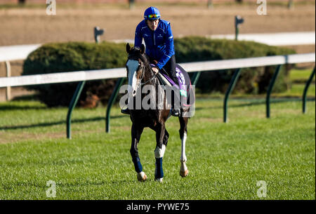 Louisville, Kentucky, USA. 29 Oct, 2018. 29 octobre 2018 : (GO), talismanique formé par André Fabre, exercices en préparation de la Breeders' Cup Turf à Churchill Downs le 29 octobre 2018 à Louisville, Kentucky. Evers/ESW/CSM/Alamy Live News Banque D'Images