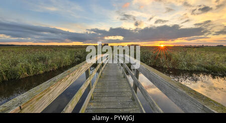 Pont de bois sur la piste cyclable à travers la réserve naturelle des marais au coucher du soleil dans les Pays-Bas Banque D'Images