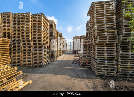 Zone d'affaires avec d'énormes piles de palettes de fret de type euro prêt pour le recyclage Banque D'Images