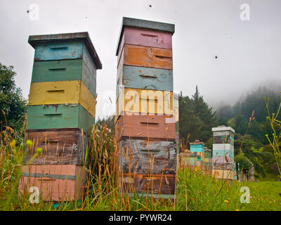 Dans les ruches en bois coloré Mountainious campagne avec l'essaimage des abeilles autour de Banque D'Images