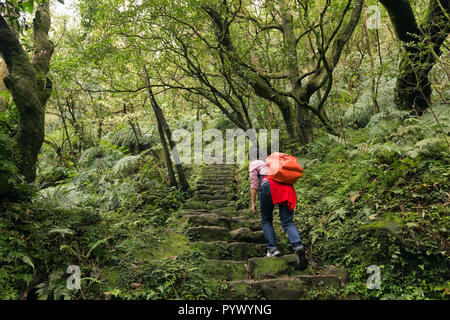 Femme trekking dans la forêt subtropicale du Parc National Yangmingshan, escalade escaliers en pierre, Taipei, Taiwan Banque D'Images